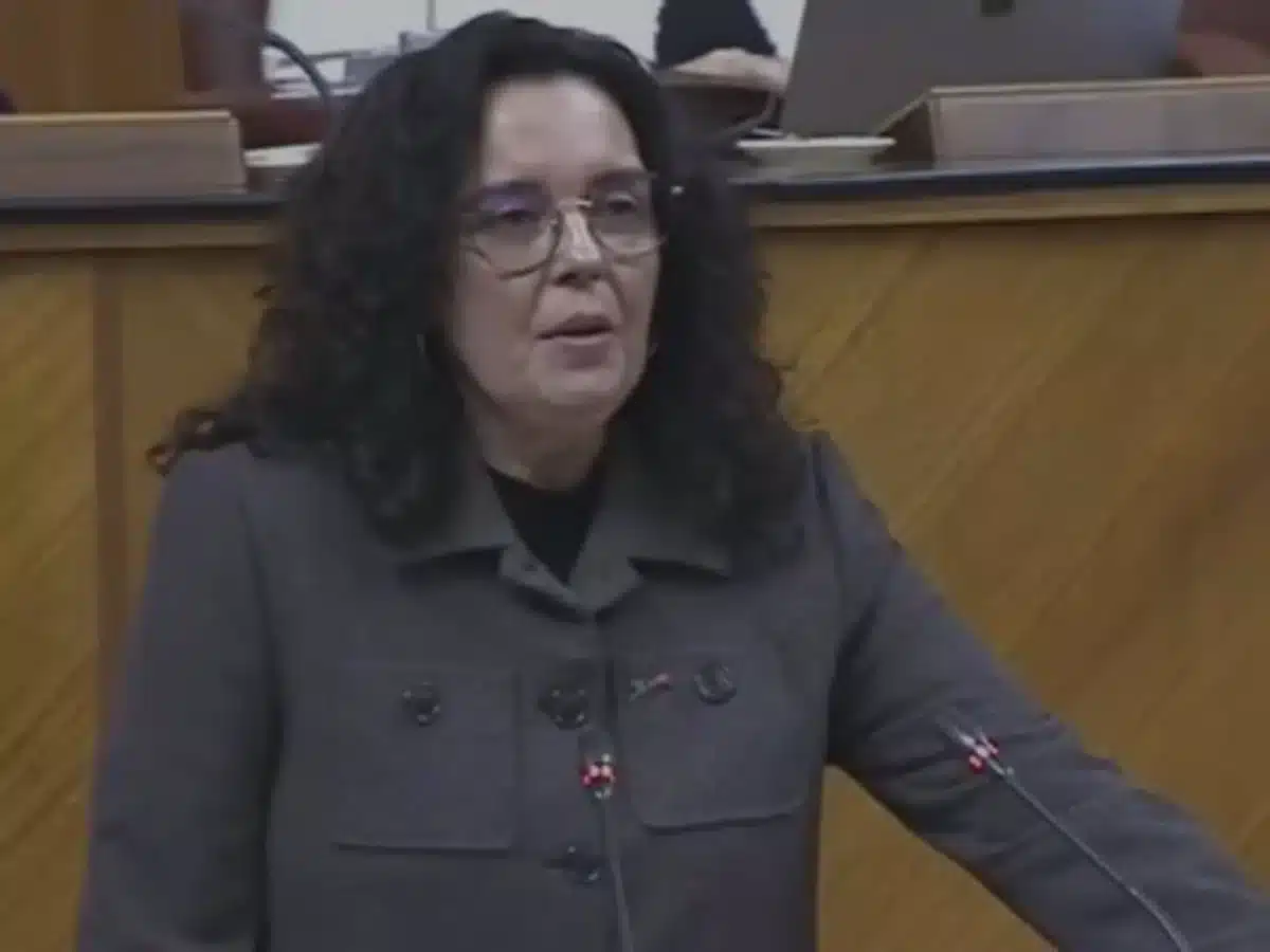 La parlamentaria andaluza por el PSOE de Huelva y portavoz en la Comisión de Desarrollo Educativo y Formación Profesional en la Cámara autonómica, Susana Rivas. - PSOE DE HUELVA