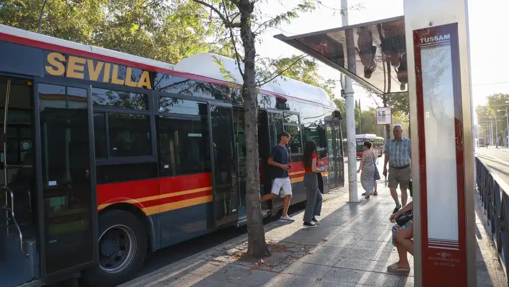 Archivo - Autobús municipal en el centro de Sevilla. A 1 de agosto de 2024, en Sevilla (Andalucía, España). Un autobús de Tussam circula por la zona de El Prado de San Sebastián, en el centro de Sevilla. (Imagen de archivo). - ROCÍO RUZ / EUROPA PRESS - Archivo