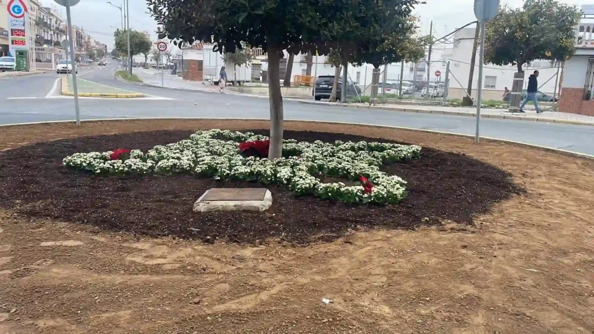 Glorieta de Utrera despojada de sus plantas ornamentales - AYUNTAMIENTO DE UTRERA
