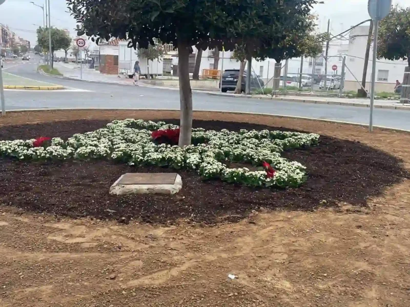 Glorieta de Utrera despojada de sus plantas ornamentales - AYUNTAMIENTO DE UTRERA