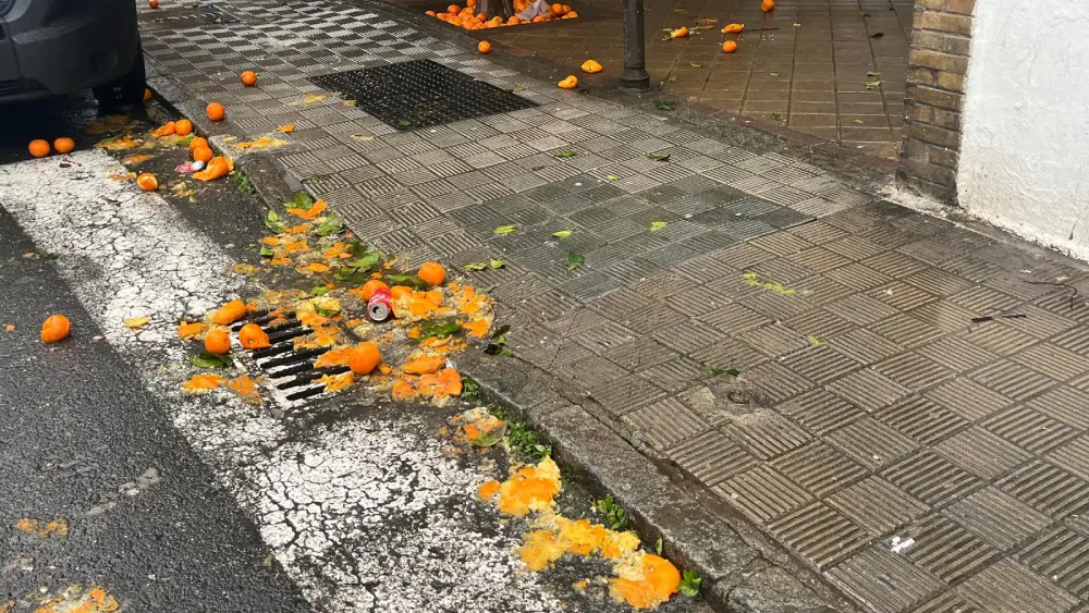 Unas naranjas caídas en el suelo.