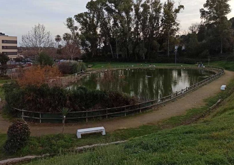 Parque de Valparaíso de San Juan, con su lago habitado por patos, lugar del apuñalamiento. - Europa Press