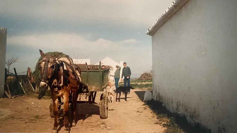Fotos de un trabajo realizado por el alumnado del centro durante los años 80 - Archivo del CEIP San Roque