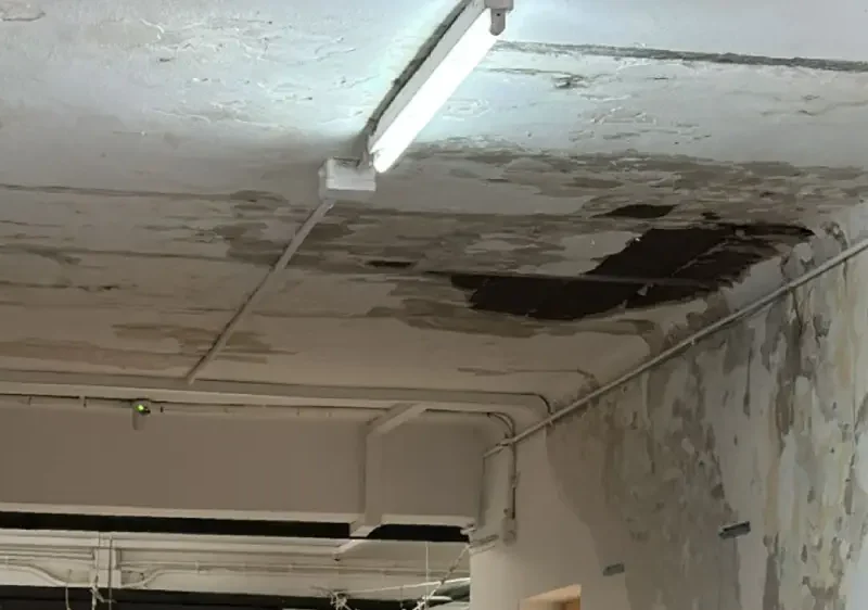 El techo del CEIP Tierno Galván - PSOE