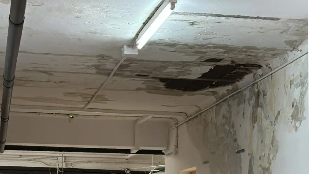 El techo del CEIP Tierno Galván - PSOE