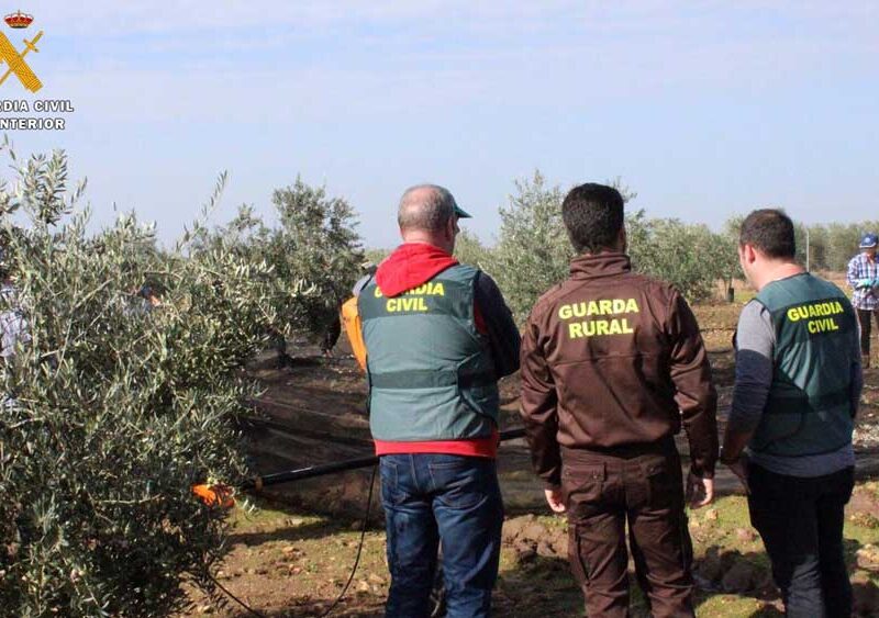Agentes de la Guardia Civil en una explotación agrícola. - Guardia Civil