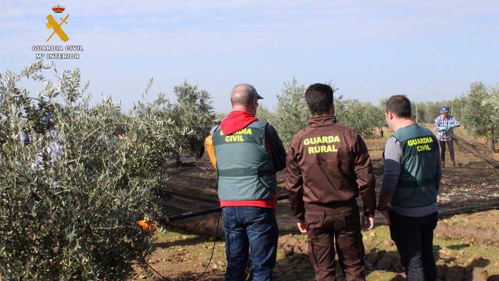 Agentes de la Guardia Civil en una explotación agrícola. - Guardia Civil