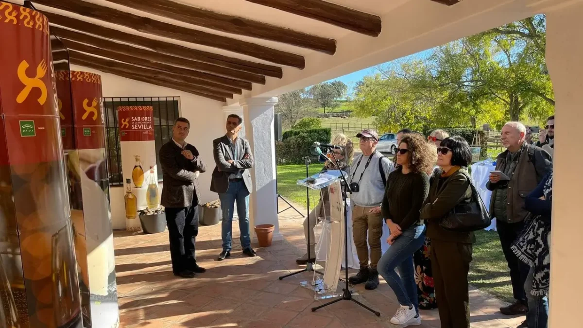 provincia sevilla puente