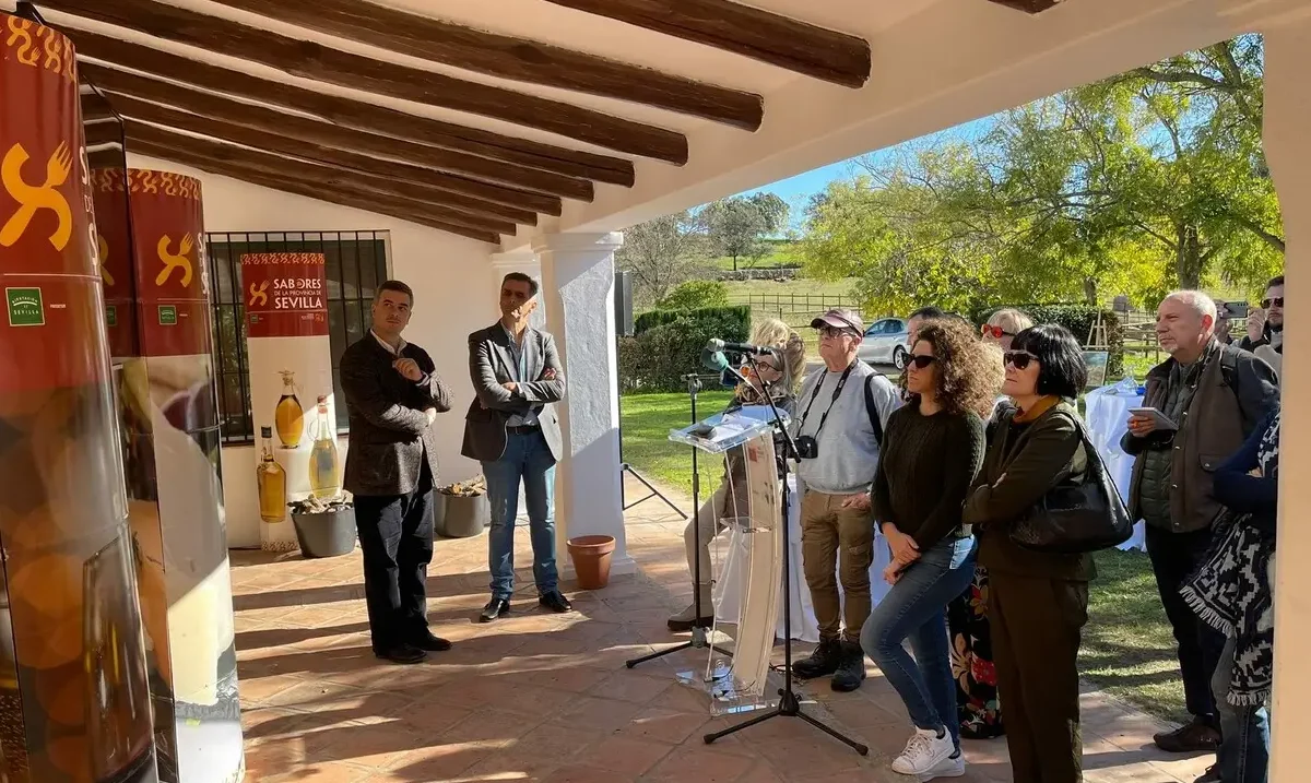 provincia sevilla puente