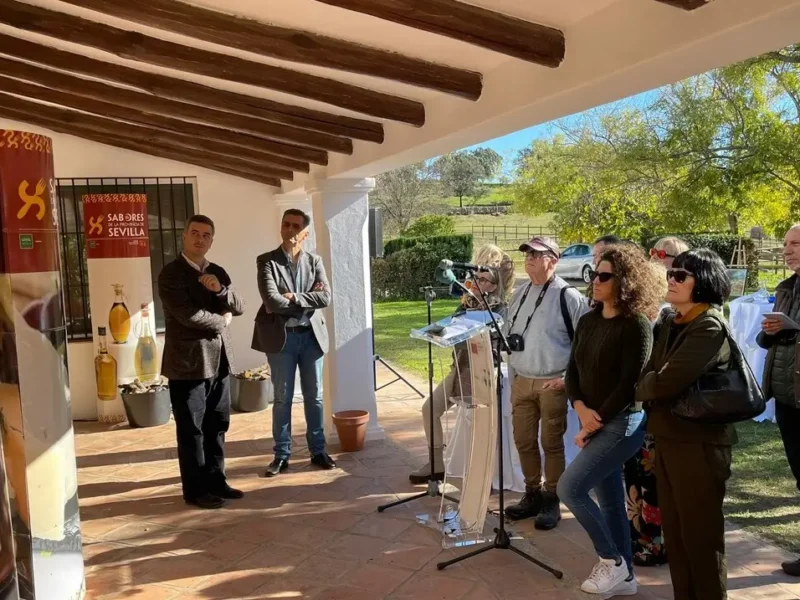 provincia sevilla puente