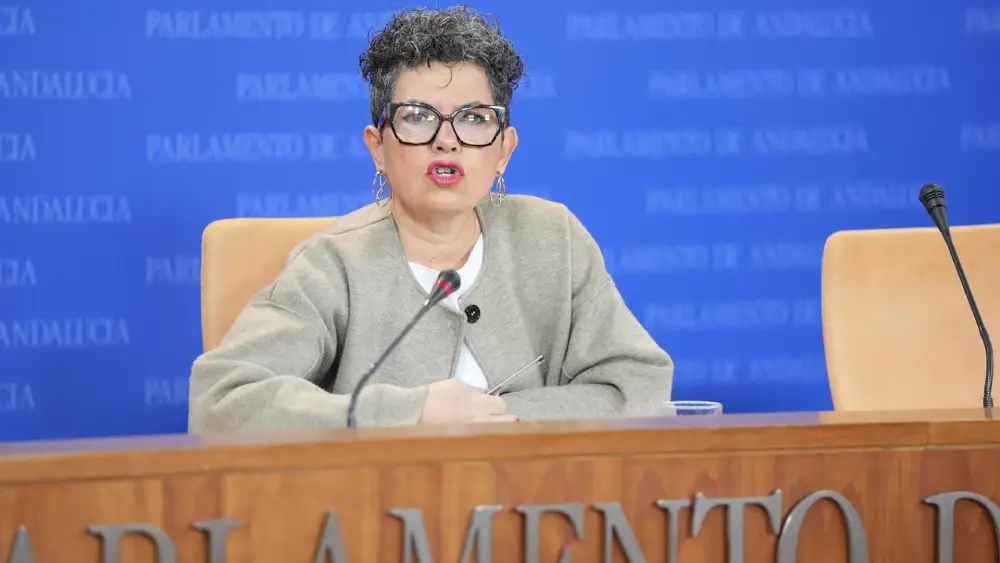 La presidenta del Grupo Parlamentario Mixto-Adelante Andalucía, Maribel Mora, este miércoles en rueda de prensa. - Joaquín Corchero/Europa Press