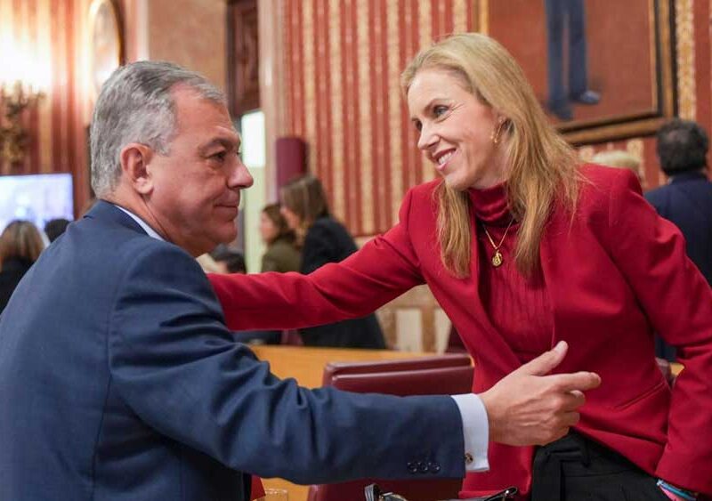 El alcalde de Sevilla, José Luis Sanz saluda a la concejal de Vox en Sevilla, Cristina Peláez tras finalizar el pleno de hoy. - Francisco J. Olmo / Europa Press