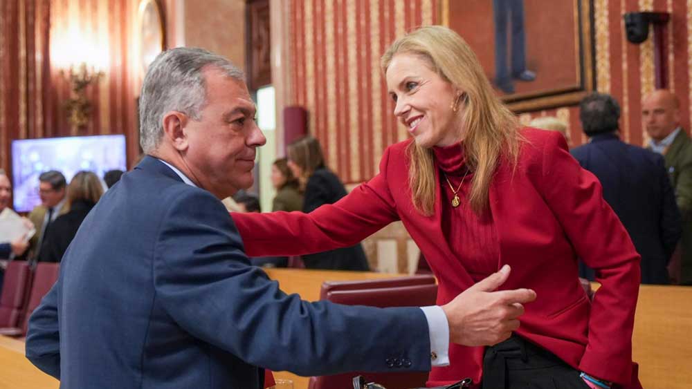 El alcalde de Sevilla, José Luis Sanz saluda a la concejal de Vox en Sevilla, Cristina Peláez tras finalizar el pleno de hoy. - Francisco J. Olmo / Europa Press