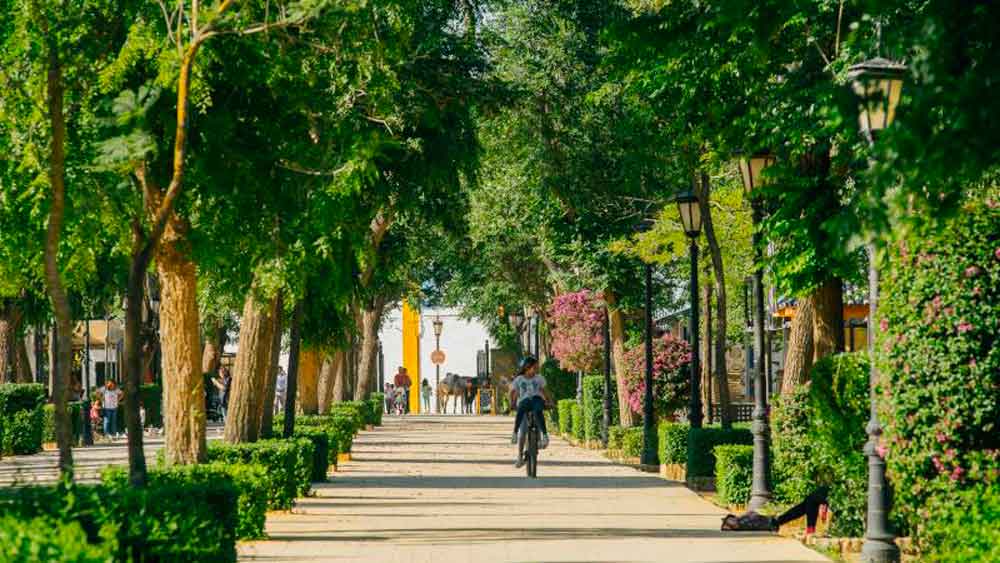 Camino en bici por Coria del Río - Diputación de Sevilla