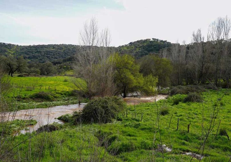 Imágenes del arroyo Guadalbácar donde se ha llevado a cabo la búsqueda del matrimonio. - Francisco J. Olmo / Europa Press