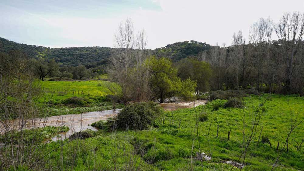 Imágenes del arroyo Guadalbácar donde se ha llevado a cabo la búsqueda del matrimonio. - Francisco J. Olmo / Europa Press
