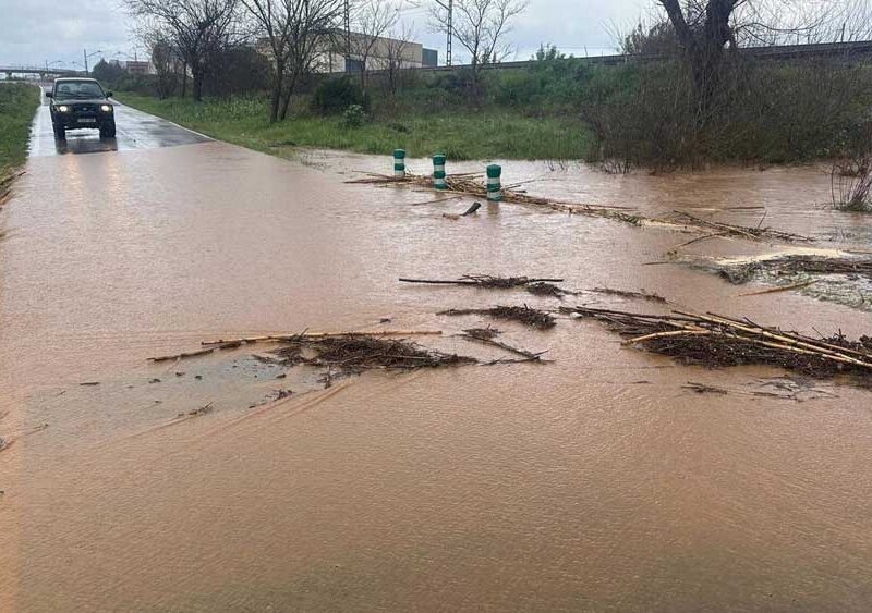 Imagen del arroyo Jondo a su paso por Lora este jueves. - Ayuntamiento de Lora del Río
