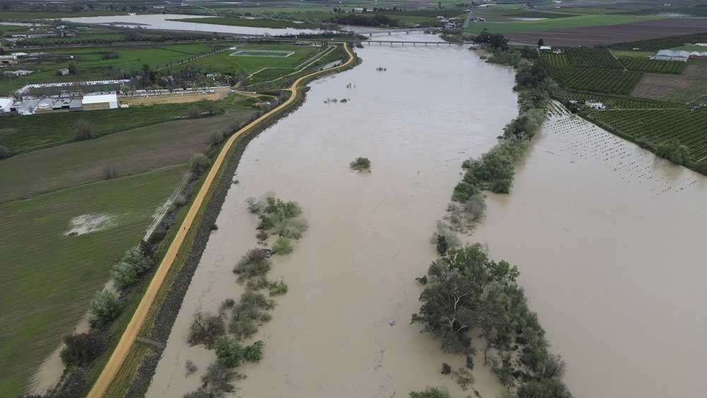 Crecida del Guadalquivir en Lora del Río. - Ayuntamiento de Lora del Río