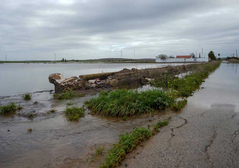 Inundaciones en El Palmar de Troya. - Francisco J. Olmo