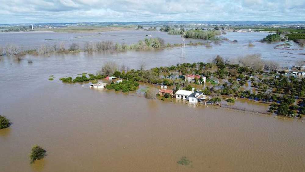 Inundación en La Algaba por la crecida de la Rivera de Huelva. - Ayuntamiento de La Algaba