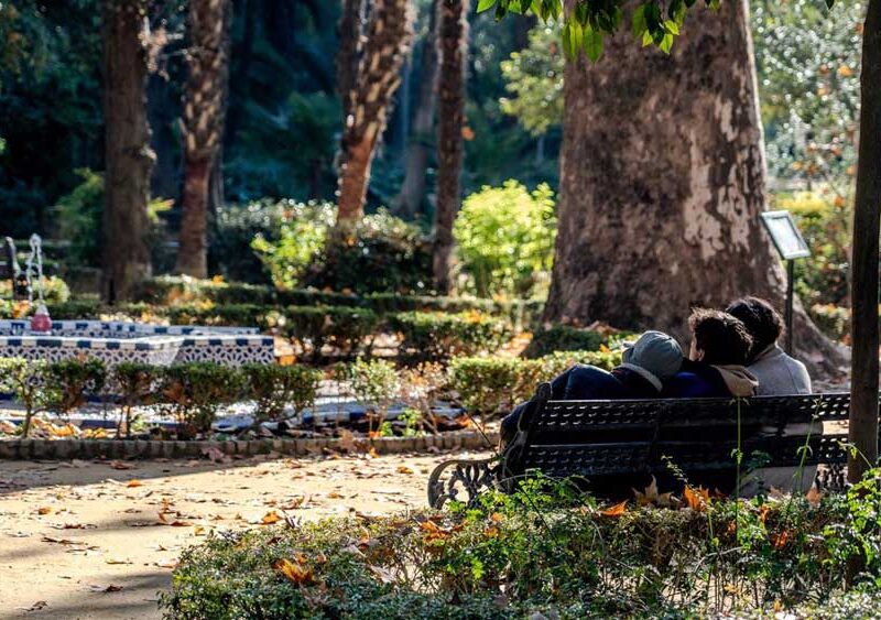 Parque María Luisa. - Eduardo Briones / Europa Press