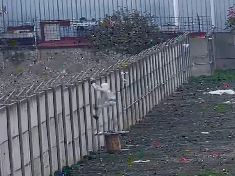 La Guardia Civil ha desarticulado un grupo organizado especializado en el robo de cobre en plantas fotovoltaicas