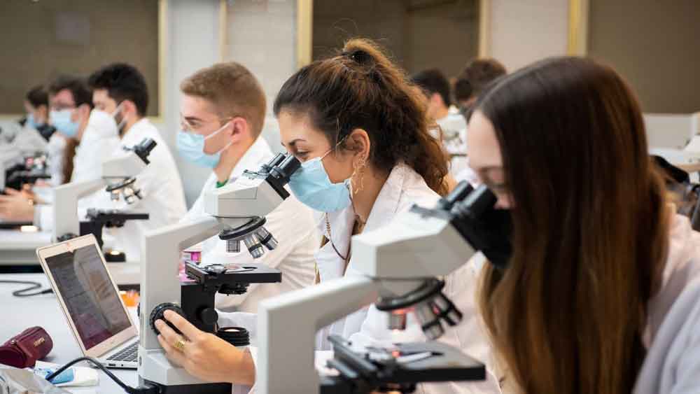 SEVILLA-Resolución-ayudas-posdoctorales-