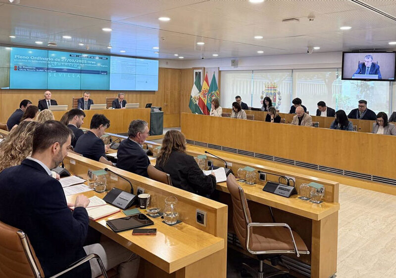 Pleno de la Diputación Provincial en una imagen de archivo - María José López - Europa Press