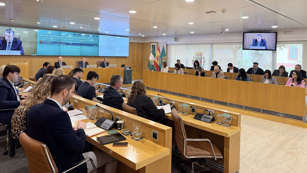 Pleno de la Diputación Provincial en una imagen de archivo - María José López - Europa Press