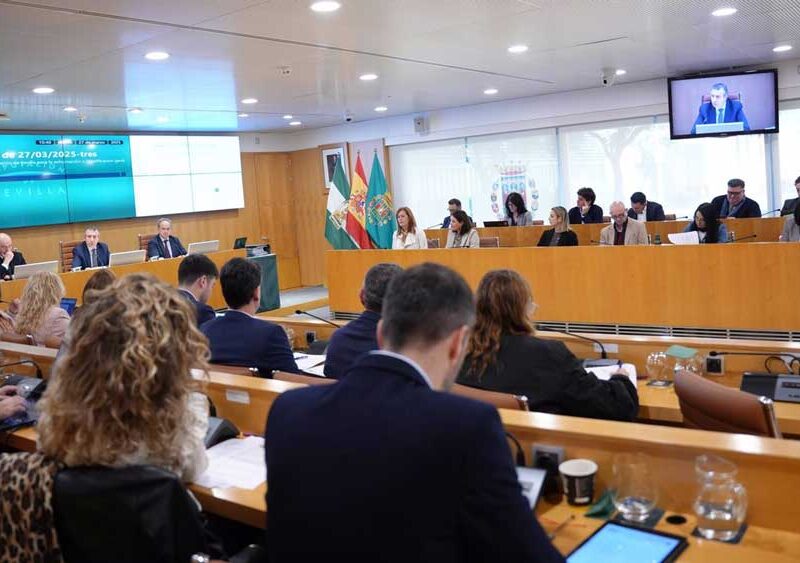 Imagen de archivo del pleno de la Diputación de Sevilla - María José López / Europa Press