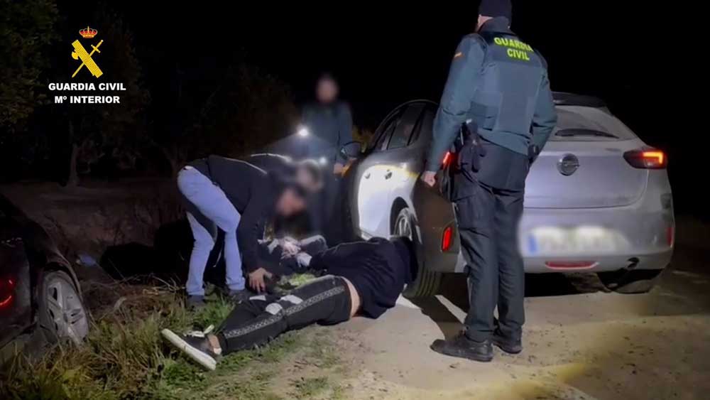 La Guardia Civil detiene a dos miembros de un grupo criminal por robar en restaurantes mediante alunizaje con vehículos de lujo en la provincia de Sevilla. - Guardia Civil