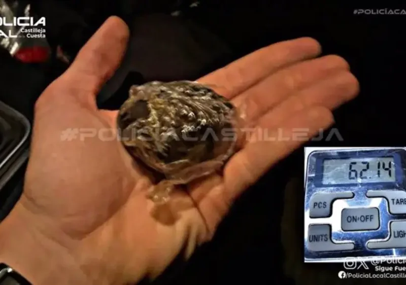 Detenido en plena vía pública