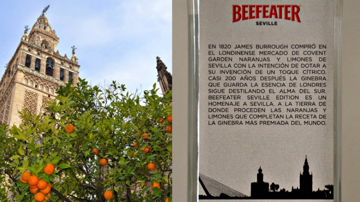 naranjas Sevilla Beefeater