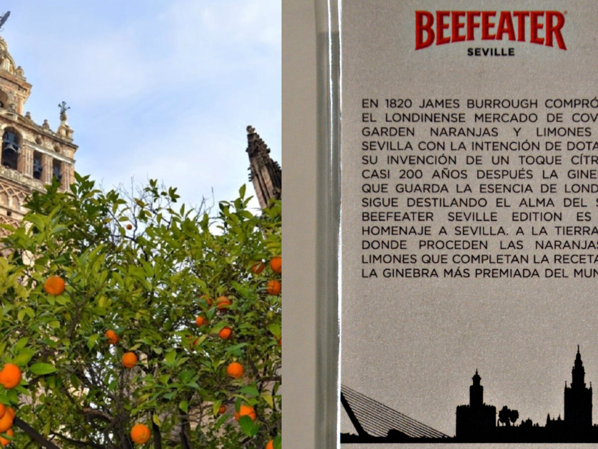 naranjas Sevilla Beefeater