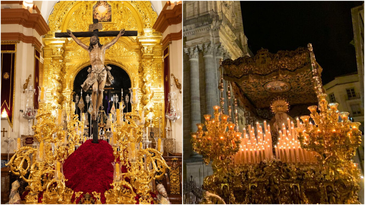 Cachorro Esperanza León XIV