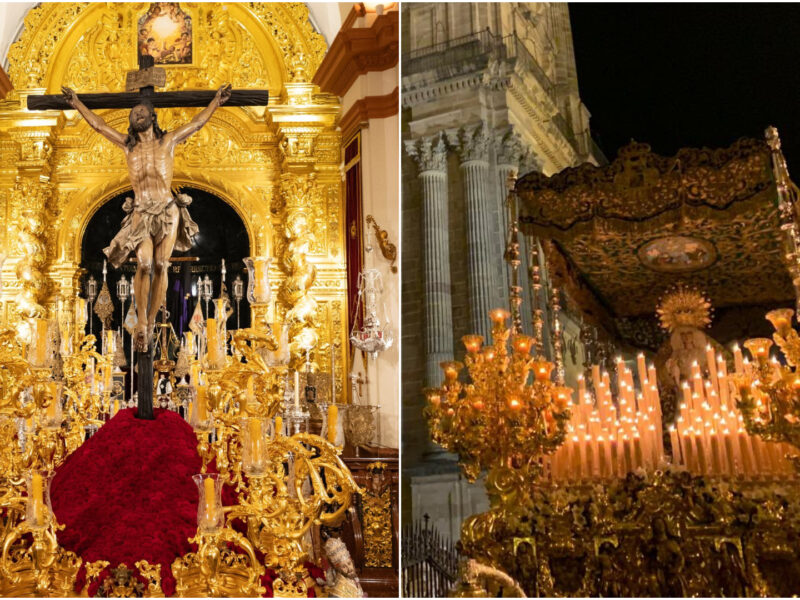 Cachorro Esperanza León XIV