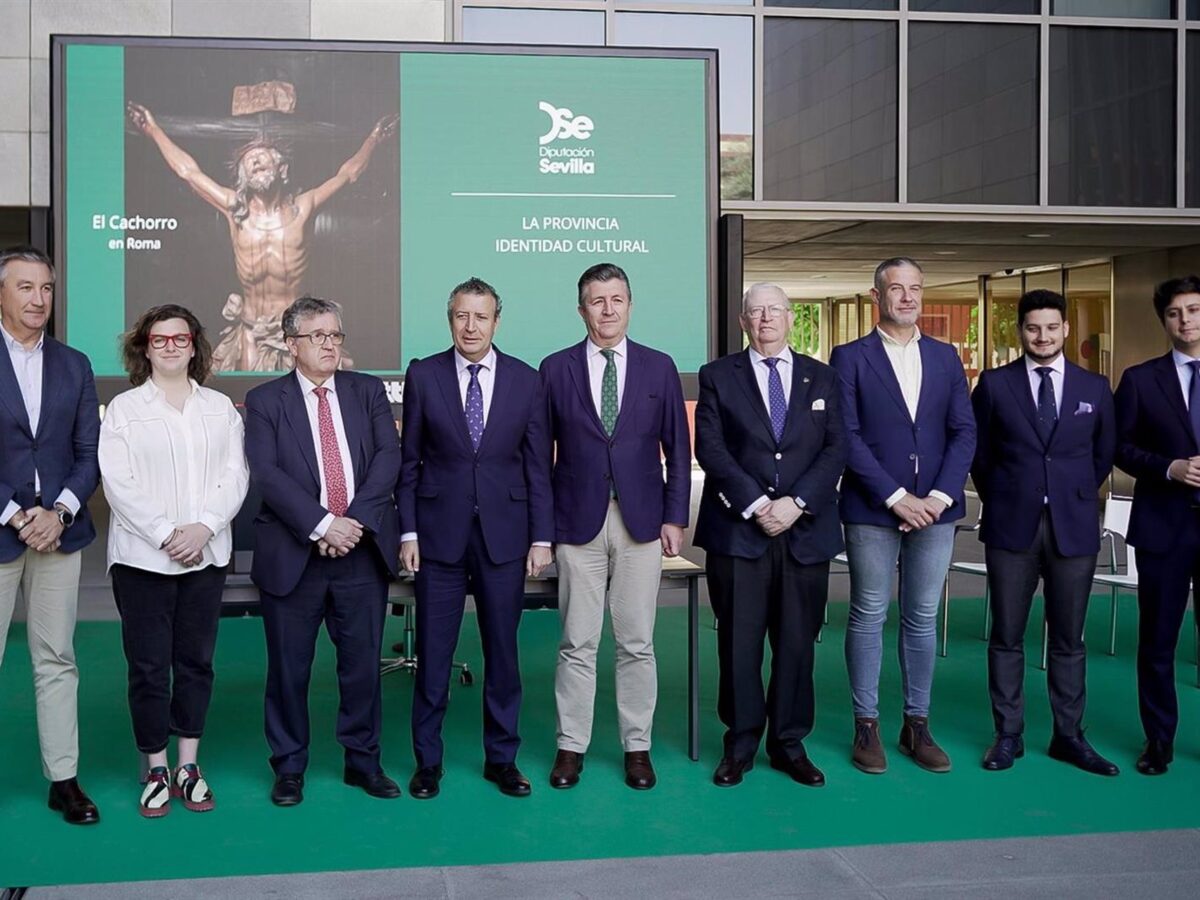 Diputación bandas Cachorro