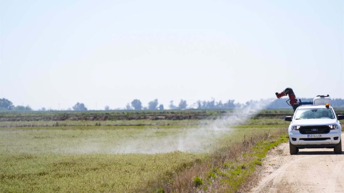 Detalle de las maniobras de fumigación durante la Activación del protocolo de prevención y control del Virus del Nilo en la Puebla del Río.- Joaquín Corchero/Europa Press