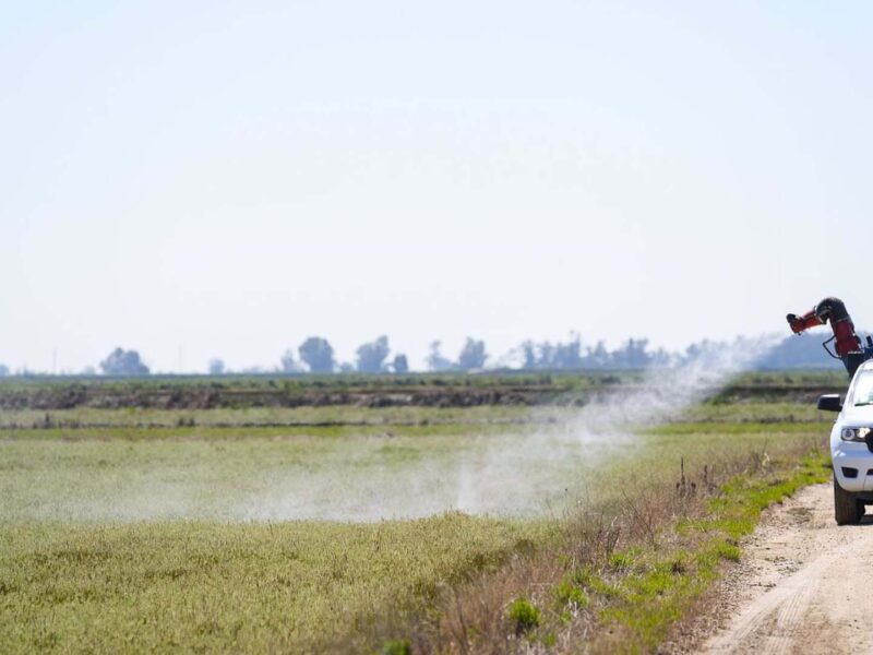 Detalle de las maniobras de fumigación durante la Activación del protocolo de prevención y control del Virus del Nilo en la Puebla del Río.- Joaquín Corchero/Europa Press