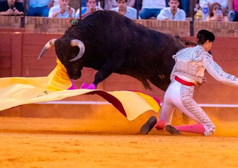 toros