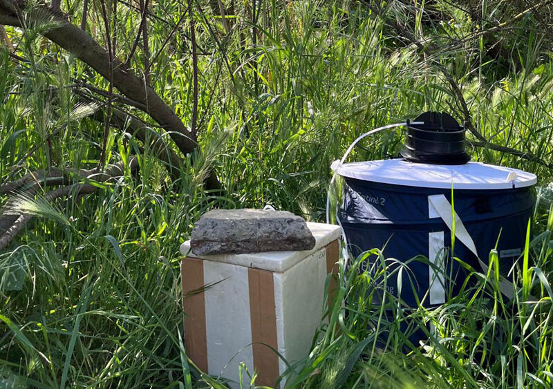 Trampas para mosquitos portadores del Virus del Nilo. - Junta de Andalucía