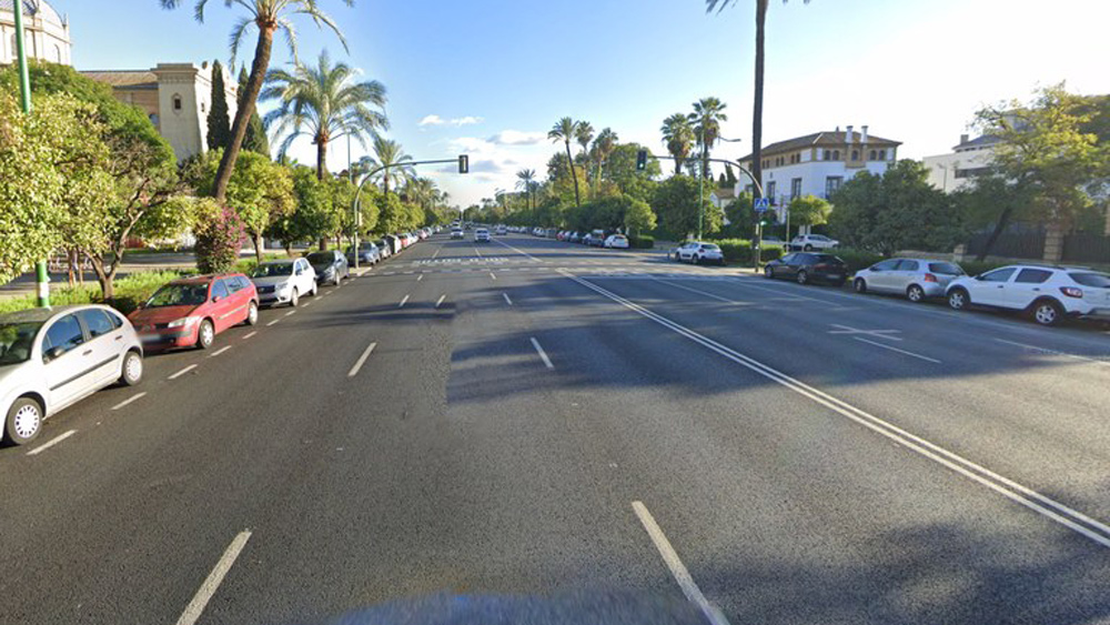 Avenida de la Palmera. - Ayuntamiento de Sevilla