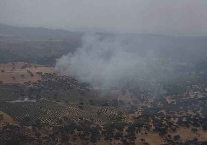 Incendio en Constantina. - Plan INFOCA