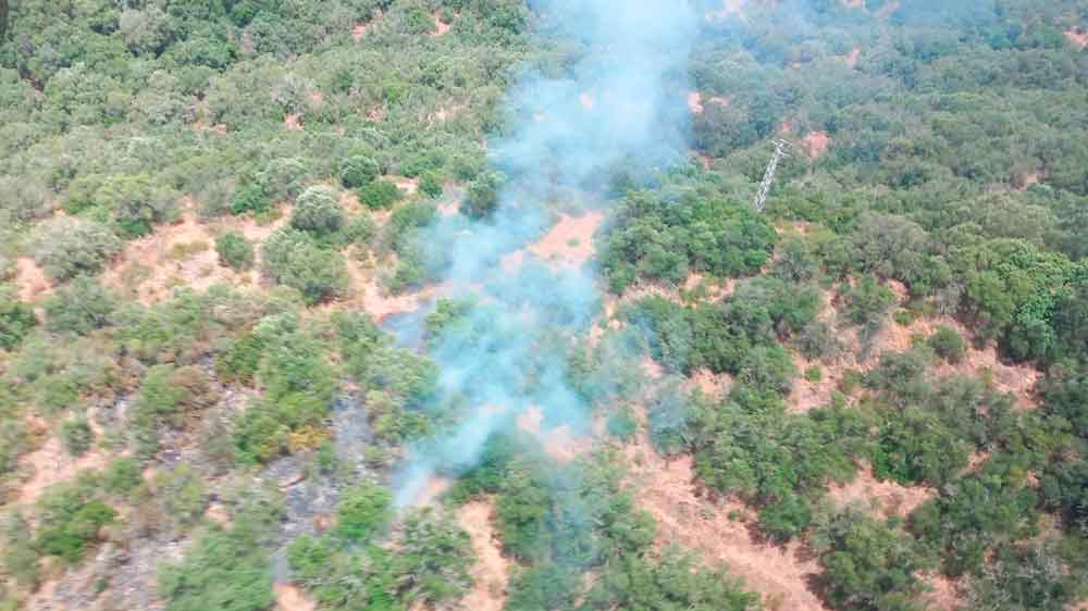 Incendio en Lora del Río. - Plan INFOCA