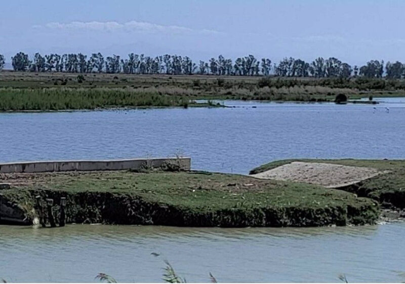 Meandro de El Capitán en el encauzamiento del Brazo del Este - Secretaría de Estado de Medio Ambiente