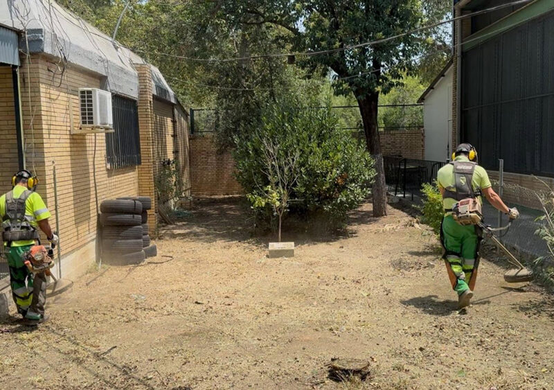 Plan de desbroce en colegios de Sevilla. - Ayuntamiento de Sevilla