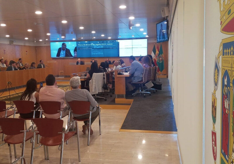 Pleno en la Diputación de Sevilla. - Diputación de Sevilla