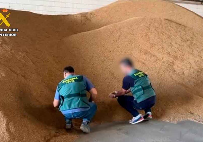 Imagen del arroz sustraído de una cooperativa sevillana. - Guardia Civil