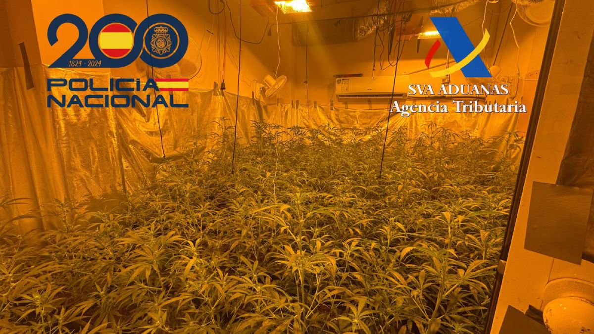 Imagen de la operación en Las Cabezas