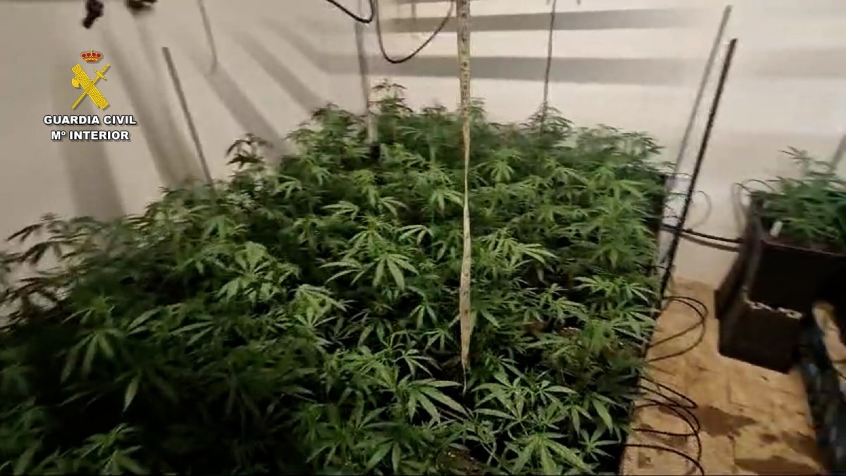 Imágenes de archivo de la Guardia Civil